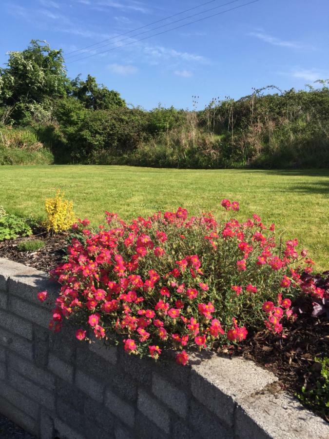 Viewmount Bed & Breakfast Thomastown  Exterior foto